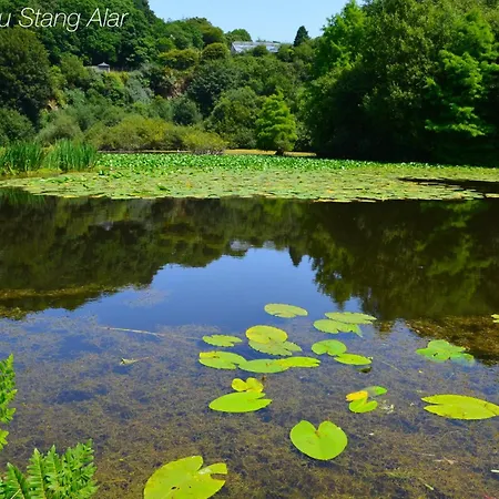 公寓 Beau T2 Recent, Terrasse Parking 4 Pers 布雷斯特