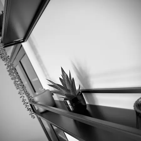 Beau T2 Recent, Terrasse Parking 4 Pers * 布雷斯特