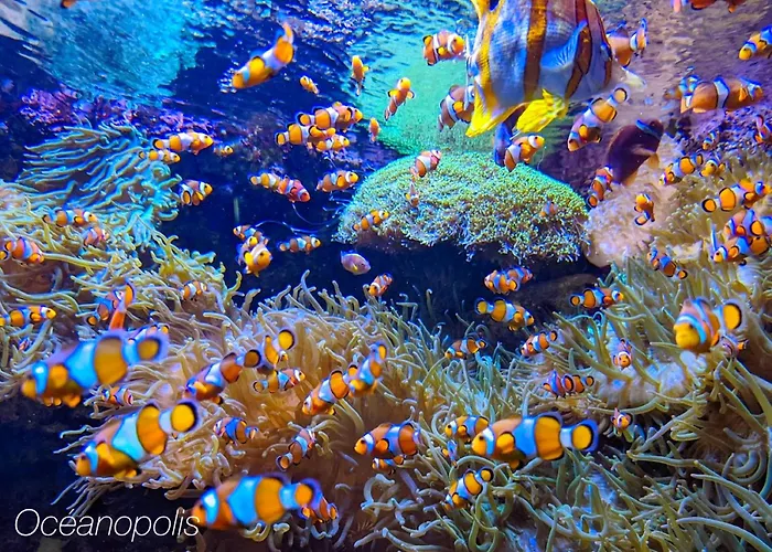 Beau T2 Recent, Terrasse Parking 4 Pers 아파트 브레스트